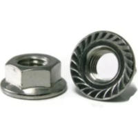 6MM 1.0 FLANGE NUT PLATED